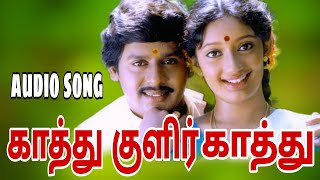 காத்து குளிர் காத்து mp3 spb arrahman janaki 90sgramathuPattu song90s tranding tamil [upl. by Nylarac226]