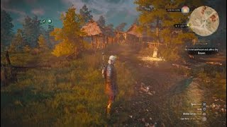 The Witcher 3 Wild Hunt Where to find Devourers Blood Respawning [upl. by Acalia]