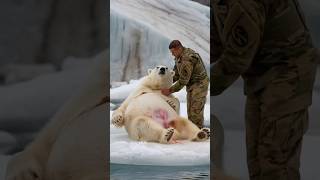 A soldier rescues a trapped pregnant polar bear enabling her to safely give birth polarbear [upl. by Lerud]