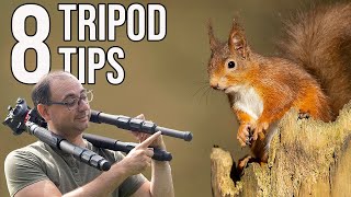 Wildlife Photography for Beginners  8 Essential TRIPOD TIPS [upl. by Sybila]