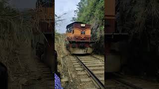 Deadly experience UNCUT ❤‍🔥 Sri Lankan Railway  Nine Arch Bridge  Ella travel srilanka [upl. by Hamirak]