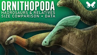 ORNITHOPODA Hadrosaurs and relatives Dinosaur size comparison Paleoart [upl. by Campman]