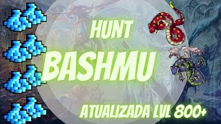 TIBIA HUNT BASHMU SALT CAVES  COM RP 800 FULL PROFIT 19KK [upl. by Hairas]