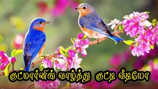 Good morning Wishes in Tamil Whatsapp SMS Video 067 [upl. by Nahij]