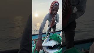 Fishing ki vella fishing trending pavanbunga viralvideo boats hardwork villagelife fish in [upl. by Gollin]