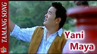 Old Classic Tamang Song  Yani Maya  Roj Moktan FT Priyanka Karki  Alok Nembang [upl. by Nimajeb]