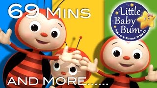 Ladybug Ladybug  Plus Lots More Nursery Rhymes  69 Minutes Compilation from LittleBabyBum [upl. by Jolynn]