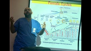 Embryology female cycles  DrOsamah AlNajjar [upl. by Arvo]