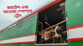 ক্যাটেল এন্ড ম্যাংঙ্গো স্পেশাল ট্রেনbdrailway bdrailfan padmarail [upl. by Jacquelin]