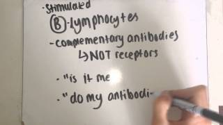 F212  The Immune Response EASY [upl. by Nikita]