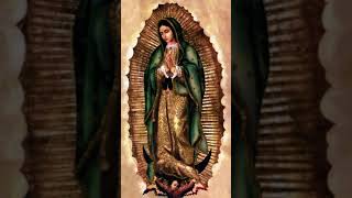 Maria madre de Jesus y madre nuestra elevacióndelevangelio [upl. by Amoakuh49]