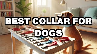 How To Choose A Collar For A Dog Explained [upl. by Barry]