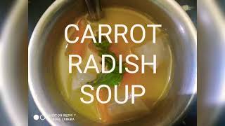 Carrot Radish vegetable Soup [upl. by Ahsema]