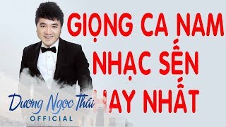 Dương Ngọc Thái  Tuyển Tập Những Ca Khúc Bolero Hay Nhất Của Dương Ngọc Thái [upl. by Vassell423]