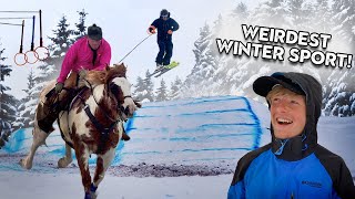 Skijoring Wildest Sport in the West [upl. by Connell621]