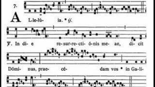 Dominica in Albis  Alleluia In die Gregorian chant [upl. by Enelrae]