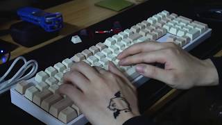 【ASMR】 콕스 COX CK108 SA CREAM 게이트론 황축 타건영상 Gateron yellow switch Keyboard Typing Sound [upl. by Goodden]