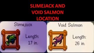 SlimejackVoid Salmon Stardew Valley Tips and Tricks [upl. by Gee]