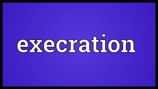 Execration Meaning [upl. by Berlyn18]