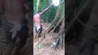 Encontramos un bebé abandonado en la Selva del Darién 😭 estadosunidos venezuela colombia [upl. by Schecter127]