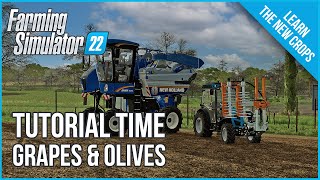 Farming Simulator 22 Tutorial  A Guide To Grapes and Olives 🍇🍇 [upl. by Nylinej645]