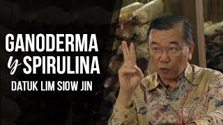 DXN Ganoderma y Spirulina Explicado por Datuk Lim Siow Jin [upl. by Suirauqed]