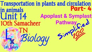 10 std biounit 14 transportation in plantsApoplast and symplast pathwayPART4Samacheer Kalvi TN [upl. by Bathulda]