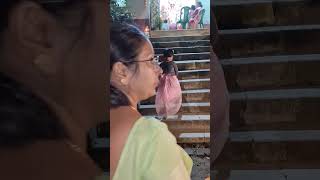 Maa go sob bipod theke rokha koro ♥️ subscribe flowers love viralvideo [upl. by Corder439]