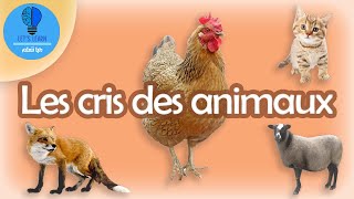 Les cris des animaux  Lets Learn [upl. by Alguire]