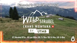 WILDSTRUBEL by UTMB 113K7578K 70K3234K 53K1518K R7 Sillerebüel  R8 Lenk PART 25 [upl. by Kyle]