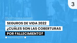 Seguro de vida 2022 ► Cobertura por fallecimiento ► Seguro por muerte accidental [upl. by Roice]