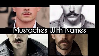 Types of Mustache with their names  Stylin Net [upl. by Jacquelin]