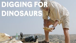 Paleontologists dig for Jurassic dinosaur fossils [upl. by Eijneb]