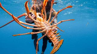 GIANT LOBSTER Bahamas Spearfishing Catch amp Cook [upl. by Mahgirb557]