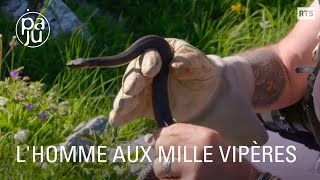 Yves observe et protège les vipères depuis plus de 40 ans [upl. by Marianna]