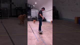 Dork Tricks to Warm Up skateboarding [upl. by Aney]