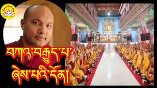 HH Karmapa explained about the meaning of kagyupa rumtekkarmaekhenpo rinpoche karmapa kagyupa [upl. by Nhguavad]