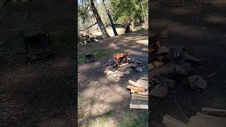 Camping Allegheny National Forest bushcamp camping nature camp stealthcamping survival fun [upl. by Dimo]