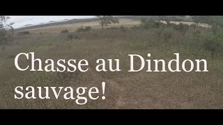 Chasse au Dindon sauvageNouvelle Calédonie [upl. by Nuriel403]