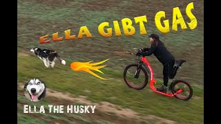 Ella the Husky  Ella gibt Gas Bikejöring 181220 [upl. by Mikol428]