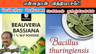 பெவேரியாபேசியானா  பேசில்லஸ் துரிஞ்சியன்சிஸ் என்ன வித்தியாசம் Brittoraj 9944450552 [upl. by Eelahs]