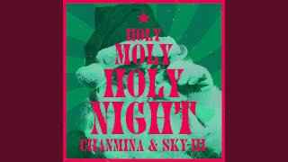 Holy Moly Holy Night [upl. by Novyat328]