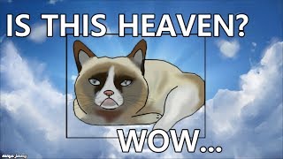 Epic Grumpy Cat Memes [upl. by Madlin]