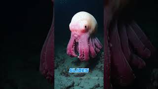 Unseen Horrors Mysterious and Terrifying Beasts of the Ocean Depths ocean facts animalsshorts [upl. by Inez]