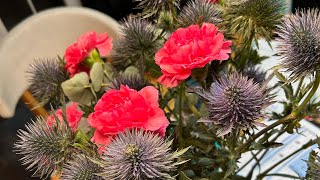 Angst vor YT Video in der Öffentlichkeit überwunden 🤯 und was diese Blumen 💐mit mir gemeinsam haben [upl. by Casimir248]