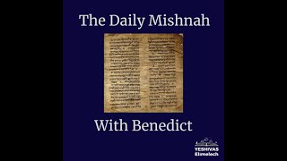 The Daily Mishnah  Nedarim 745 [upl. by Thurman]