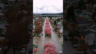 Esquel Argentina fiesta del Ciruelo en Flor [upl. by Araj]