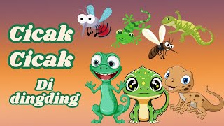 lagu anak anak cicak cicak dinding lagu populer [upl. by Ytomit]