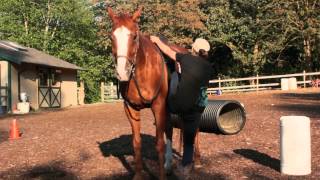 How to mount a horse  SoloRide®by wwwhairybackranchcom [upl. by Anir431]