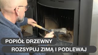 Popiół  Zapewnia Kwitnienie I Witalność Roślinom [upl. by Novj]